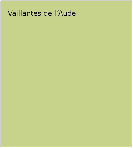 Zone de Texte: Vaillantes de lAude