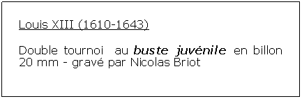 Zone de Texte: Louis XIII (1610-1643)Double tournoi  au buste juvnile en billon 20 mm - grav par Nicolas Briot